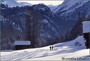 Ski-Langlauf Schweiz