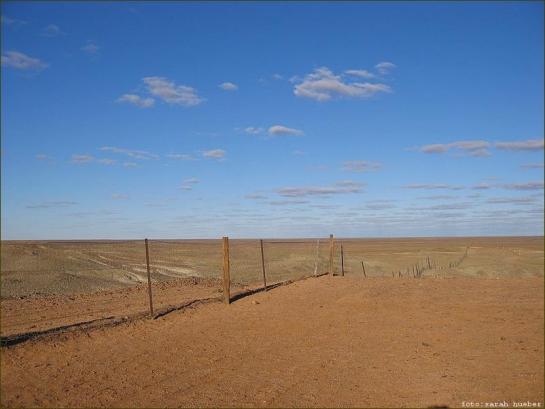 Coober Pedy Dog Fence, Australien