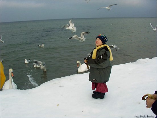 An der Nordsee, Winter