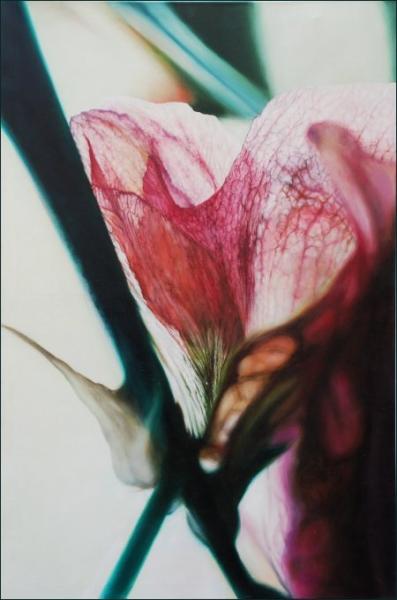 o. T., Blütenbilder 7