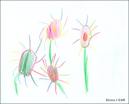 Blume 1
