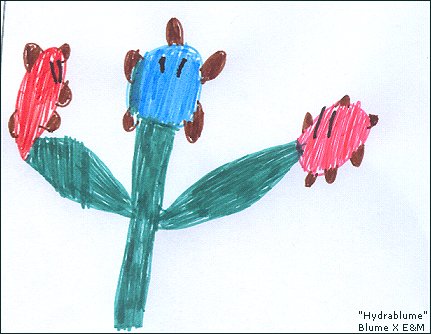 Blume 10
