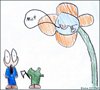Blume III