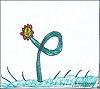 Blume VII - Zyklopenblume