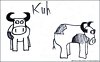 Figur 4 - Kuh