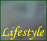 Wirtschaftswetter Lifestyle-Banner, Link Lifestyle