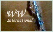 Banner Wirtschaftswetter-International, Link Wirtschaftswetter-Werbung 