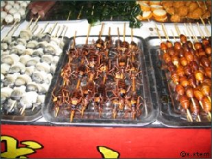 Insekten-Spieße in China