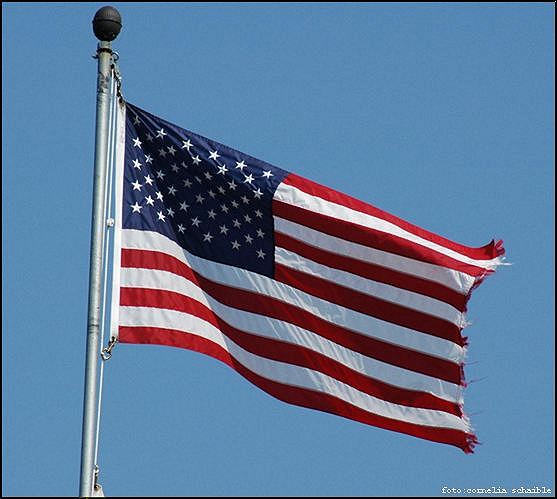 Flag, US-Flagge, USA-Galerie